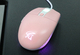 핑크로 여심저격! 스테디셀러 게이밍 마우스 ‘앱코 A660 핑크’